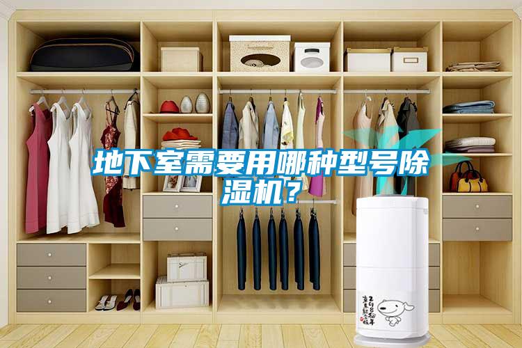 地下室需要用哪种型号除湿机？