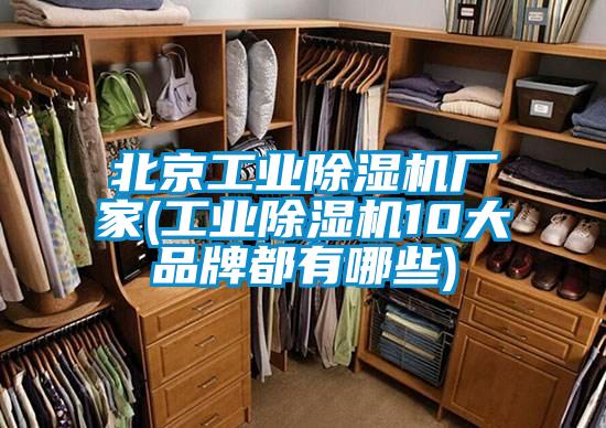北京工业除湿机厂家(工业除湿机10大品牌都有哪些)