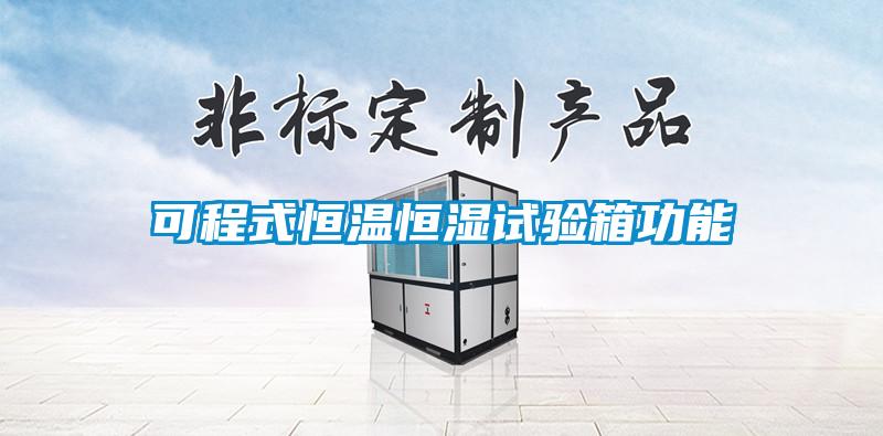 可程式恒温恒湿试验箱功能