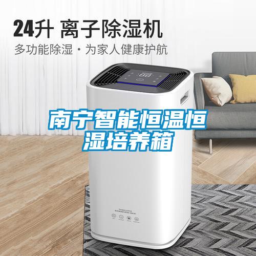 南宁智能恒温恒湿培养箱