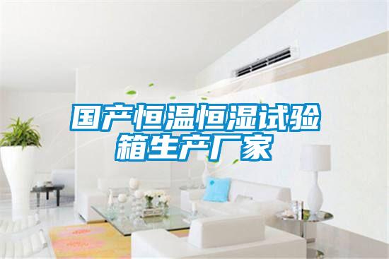 国产恒温恒湿试验箱生产厂家
