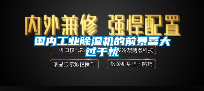 国内工业除湿机的前景喜大过于忧