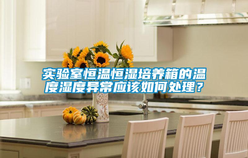 实验室恒温恒湿培养箱的温度湿度异常应该如何处理？