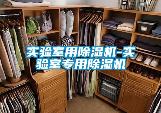 实验室用除湿机-实验室专用除湿机