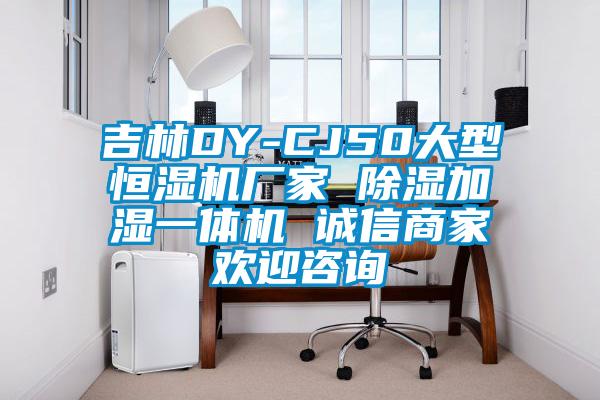 吉林DY-CJ50大型恒湿机厂家 除湿加湿一体机 诚信商家欢迎咨询