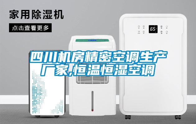 四川机房精密空调生产厂家,恒温恒湿空调