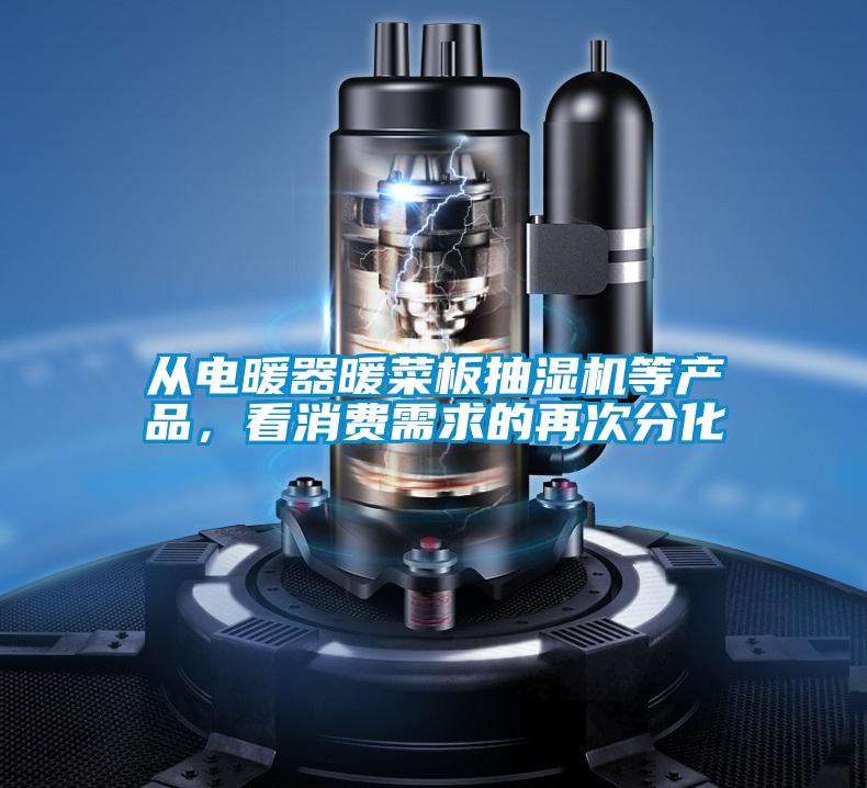 从电暖器暖菜板抽湿机等产品，看消费需求的再次分化