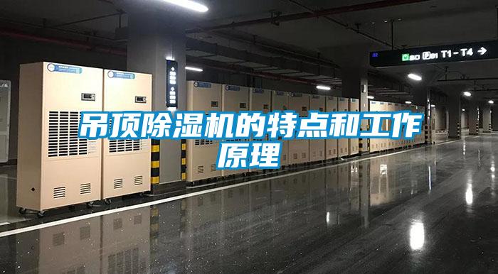 吊顶除湿机的特点和工作原理