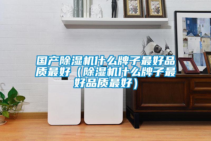国产除湿机什么牌子最好品质最好（除湿机什么牌子最好品质最好）
