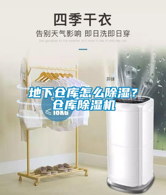 地下仓库怎么除湿？仓库除湿机