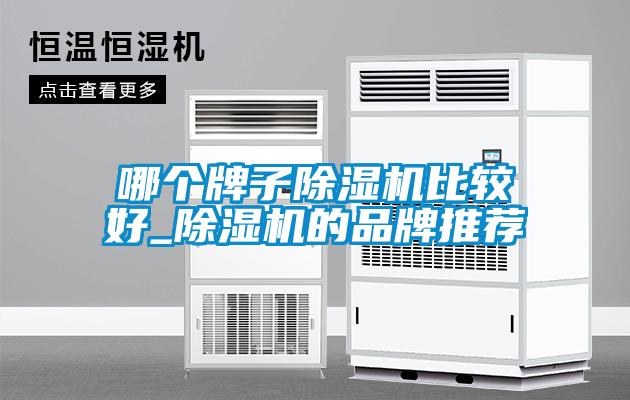 哪个牌子除湿机比较好_除湿机的品牌推荐