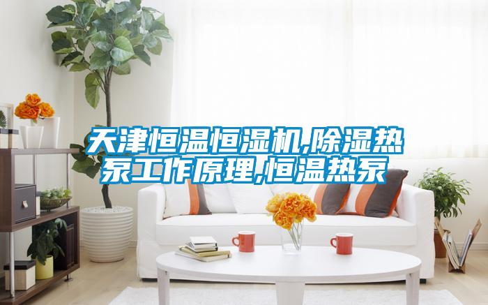 天津恒温恒湿机,除湿热泵工作原理,恒温热泵