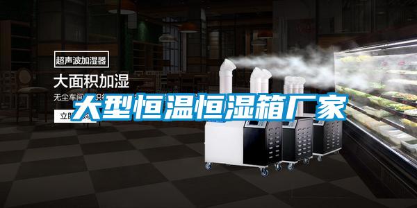 大型恒温恒湿箱厂家
