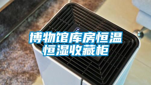 博物馆库房恒温恒湿收藏柜