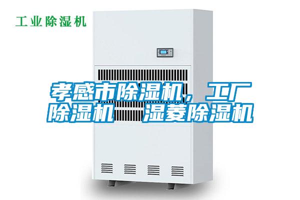 孝感市除湿机，工厂除湿机  湿菱除湿机