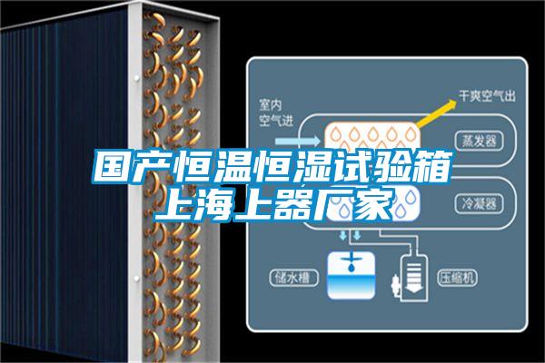 国产恒温恒湿试验箱上海上器厂家