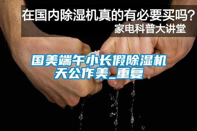 国美端午小长假除湿机天公作美_重复