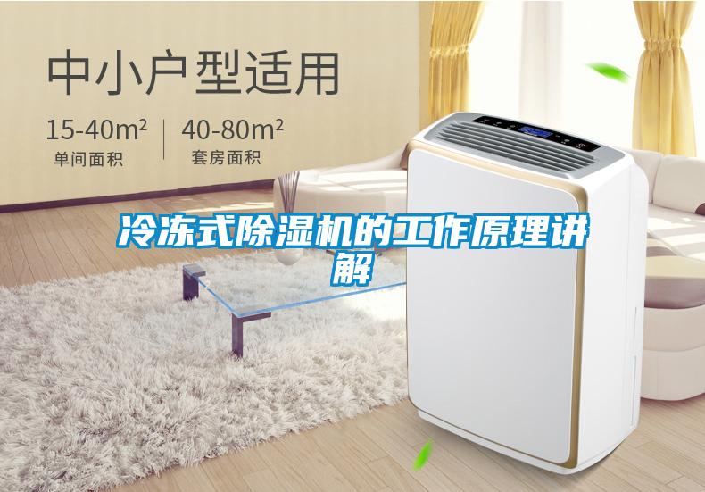 冷冻式除湿机的工作原理讲解