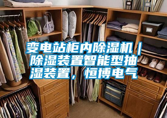 变电站柜内除湿机｜除湿装置智能型抽湿装置，恒博电气