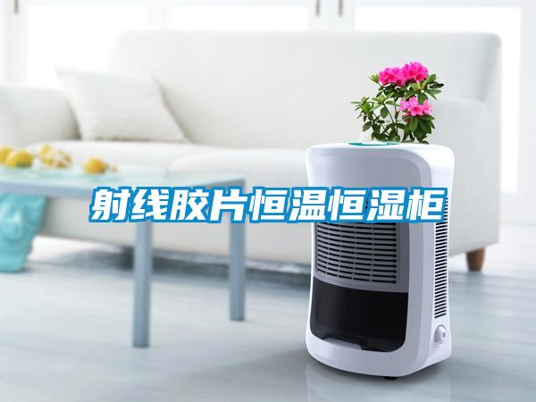 射线胶片恒温恒湿柜