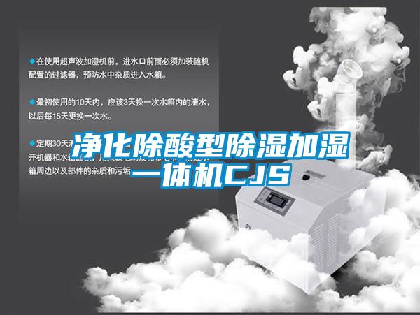 净化除酸型除湿加湿一体机CJS