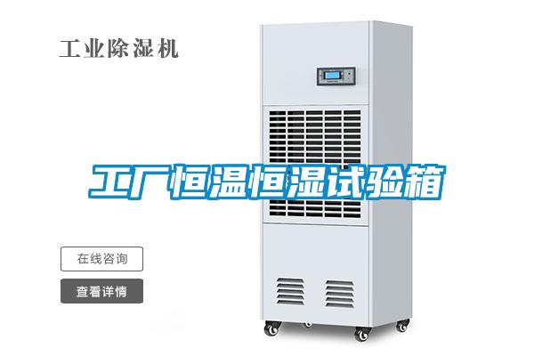 工厂恒温恒湿试验箱