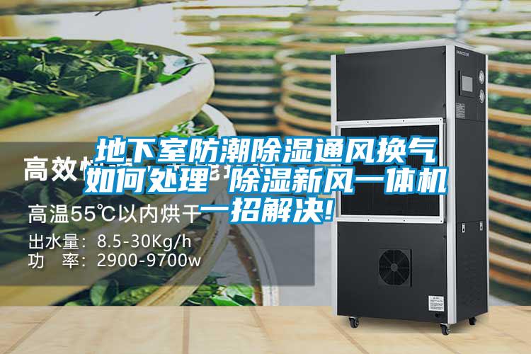 地下室防潮除湿通风换气如何处理 除湿新风一体机一招解决!