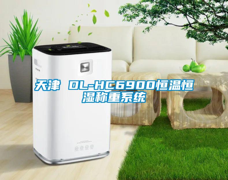天津 DL-HC6900恒温恒湿称重系统