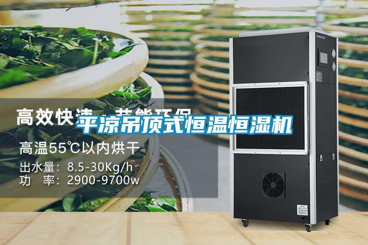 平凉吊顶式恒温恒湿机