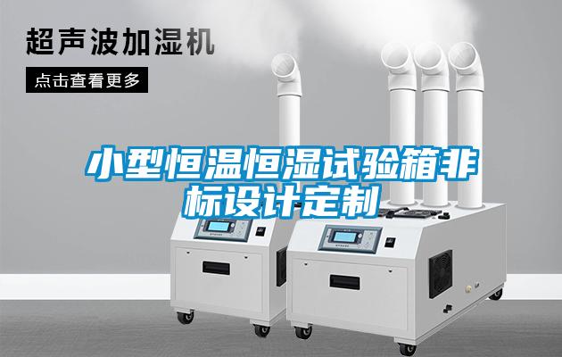 小型恒温恒湿试验箱非标设计定制
