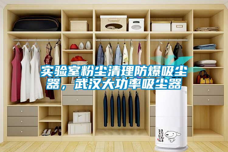 实验室粉尘清理防爆吸尘器，武汉大功率吸尘器