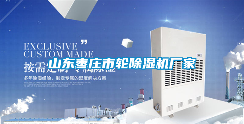 山东枣庄市轮除湿机厂家