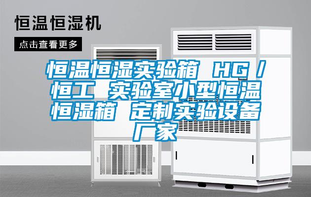 恒温恒湿实验箱 HG／恒工 实验室小型恒温恒湿箱 定制实验设备厂家