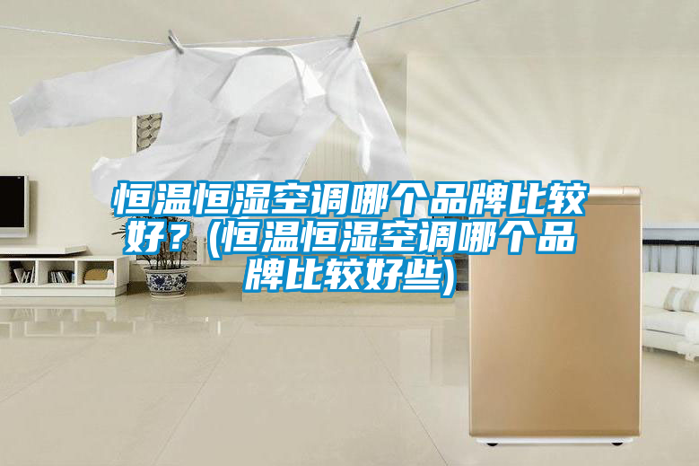 恒温恒湿空调哪个品牌比较好？(恒温恒湿空调哪个品牌比较好些)