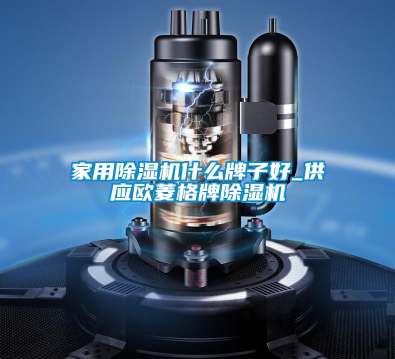 家用除湿机什么牌子好_供应欧菱格牌除湿机