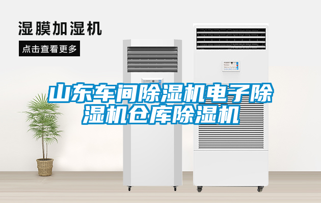 山东车间除湿机电子除湿机仓库除湿机
