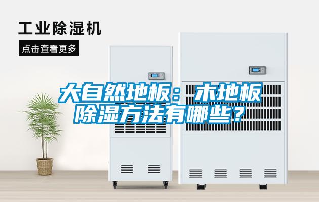 大自然地板：木地板除湿方法有哪些？