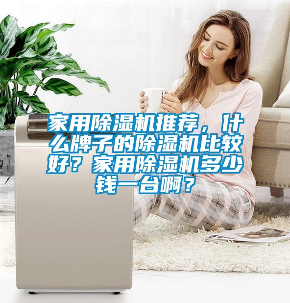 家用除湿机推荐，什么牌子的除湿机比较好？家用除湿机多少钱一台啊？