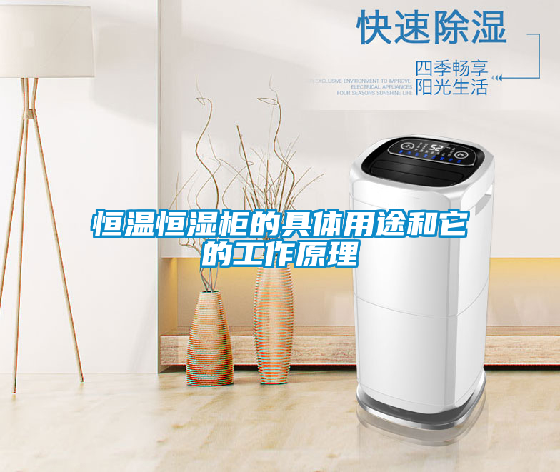 恒温恒湿柜的具体用途和它的工作原理