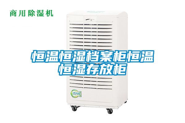 恒温恒湿档案柜恒温恒湿存放柜