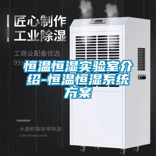 恒温恒湿实验室介绍-恒温恒湿系统方案