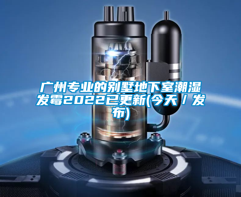 广州专业的别墅地下室潮湿发霉2022已更新(今天／发布)