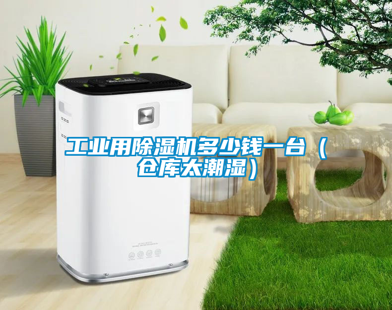 工业用除湿机多少钱一台（仓库太潮湿）