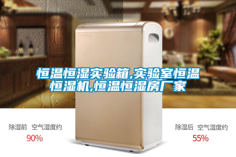 恒温恒湿实验箱,实验室恒温恒湿机,恒温恒湿房厂家