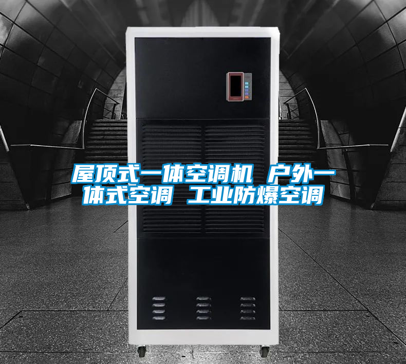 屋顶式一体空调机 户外一体式空调 工业防爆空调