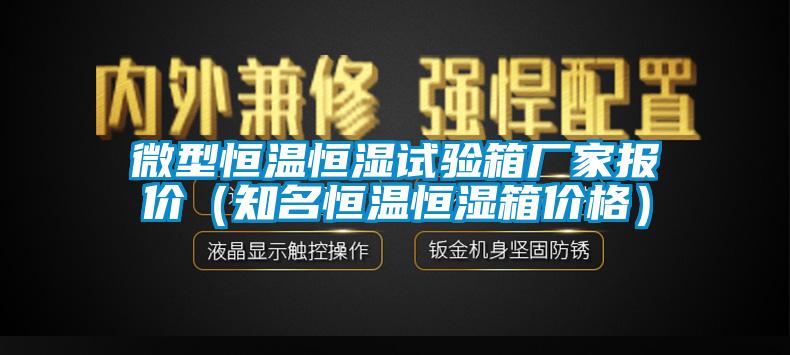 微型恒温恒湿试验箱厂家报价（知名恒温恒湿箱价格）