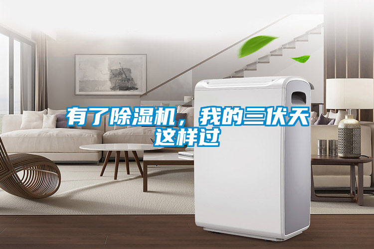有了除湿机，我的三伏天这样过