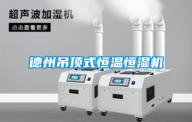 德州吊顶式恒温恒湿机