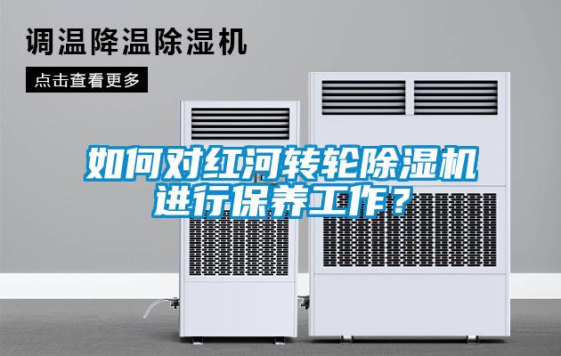 如何对红河转轮除湿机进行保养工作？