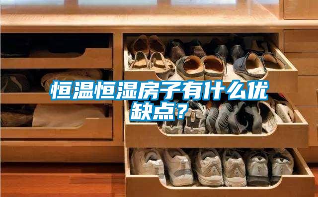 恒温恒湿房子有什么优缺点？